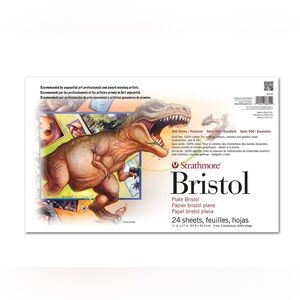 Strathmore 500 Series Bristol Paper 24 Sheets 11"x17" Plate
